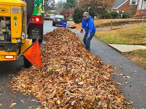 Leaf removal services. Things To Know About Leaf removal services. 